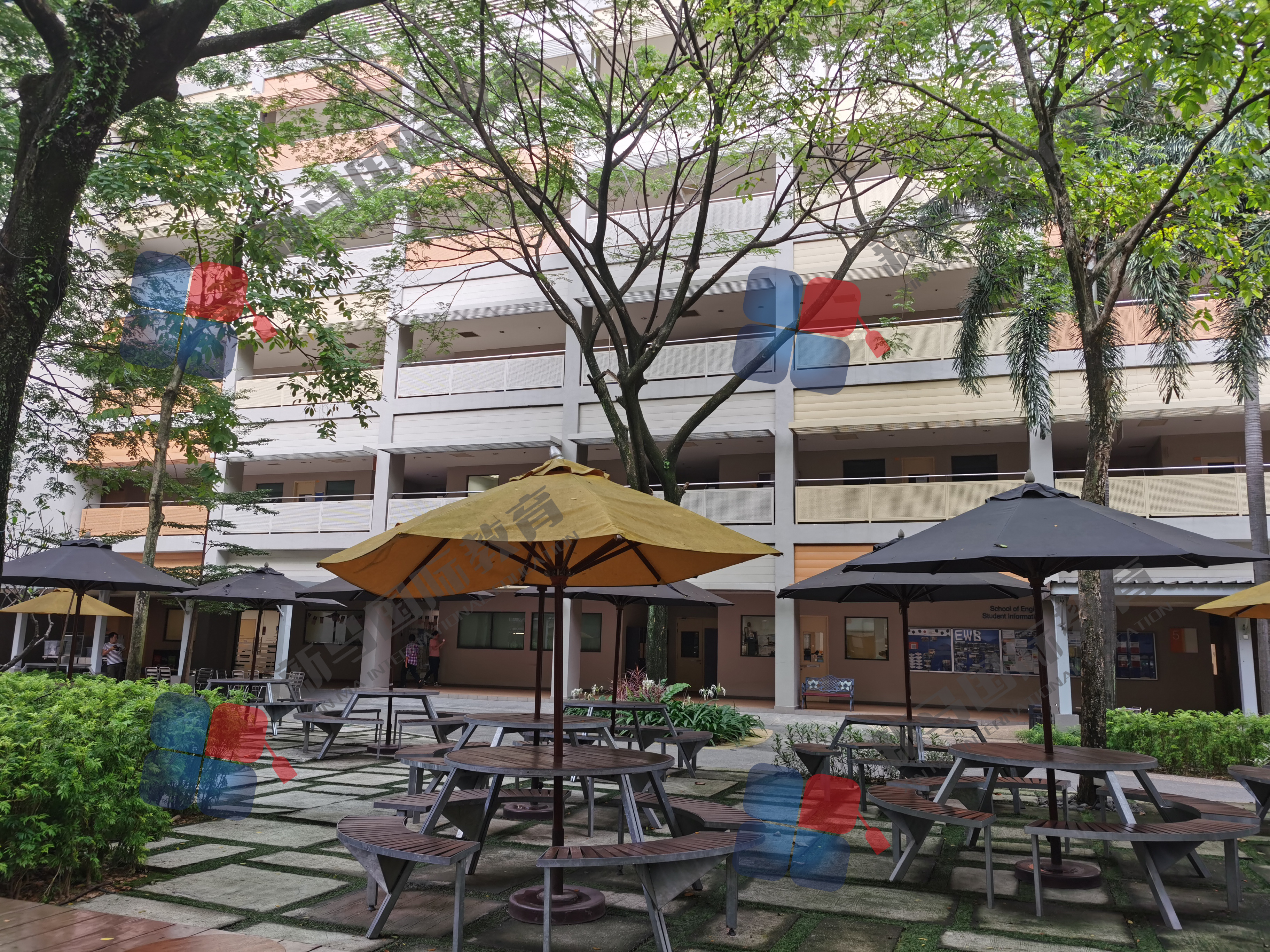 千萬(wàn)別去馬來(lái)西亞留學(xué)？WHY？(圖5)